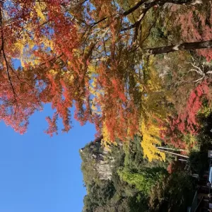 豪渓で紅葉のサムネイル