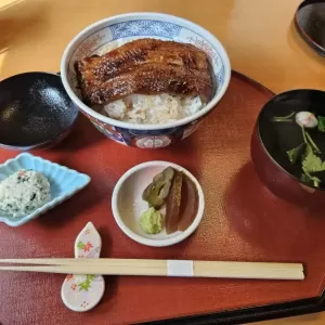 赤磐市鰻丼のサムネイル