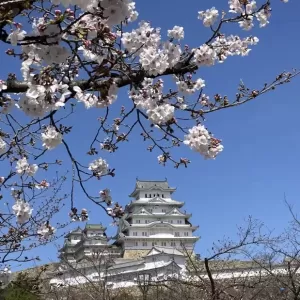 今日は、娘と姫路城へー👍のサムネイル