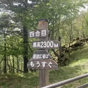 富士山は簡単には見えません‼️のサムネイル