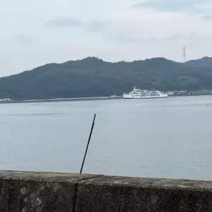 梅雨入りしましたねのサムネイル