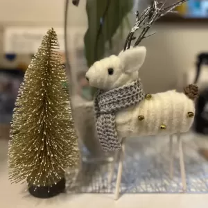 だんだんクリスマス気分😄のサムネイル