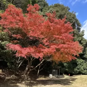 福山東ゴルフ⛳️のサムネイル