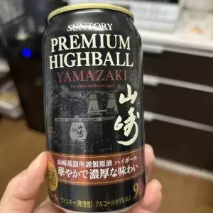 年越し番組のサムネイル
