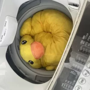 エコピットの大掃除💦のサムネイル