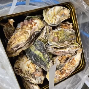 毎年2月の恒例行事のサムネイル