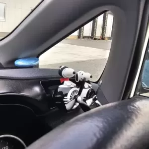 車の中の癒しのサムネイル