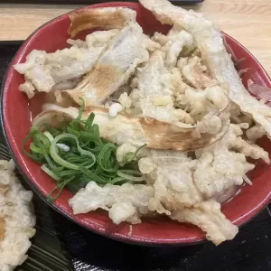 うどん坂本へ😊のサムネイル