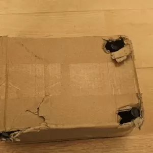 触るもの傷付けそう！！のサムネイル