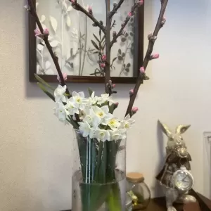 春💕のサムネイル