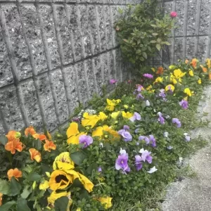 春😄その2のサムネイル