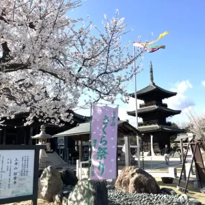 🌸のサムネイル