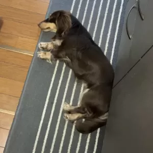 そこで?!のサムネイル