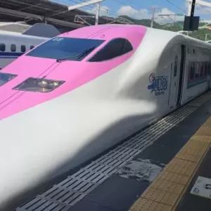 新幹線見に行ってきました！！のサムネイル