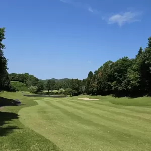 赤坂レイクカントリー⛳のサムネイル
