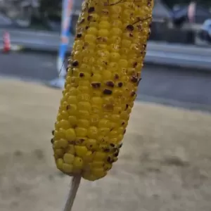 誘われてのサムネイル
